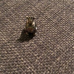Giraffe pandora charm